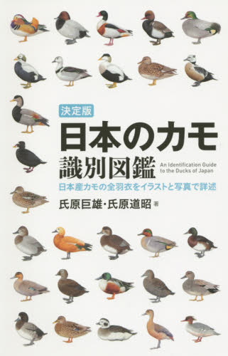 日本のカモ識別図鑑 決定版 日本産カモの全羽衣をイラストと写真で詳述 (日本産カモの全羽衣をイラストと写真で詳述) 氏原巨雄/著 氏原道昭/著 フィールド図鑑の商品画像