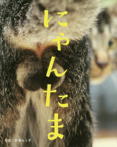 にゃんたま 芳澤ルミ子/写真 ペット写真集の商品画像