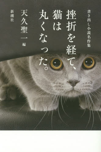 挫折を経て、猫は丸くなった。　書き出し小説名作集 天久聖一／編 日本文学書籍その他の商品画像