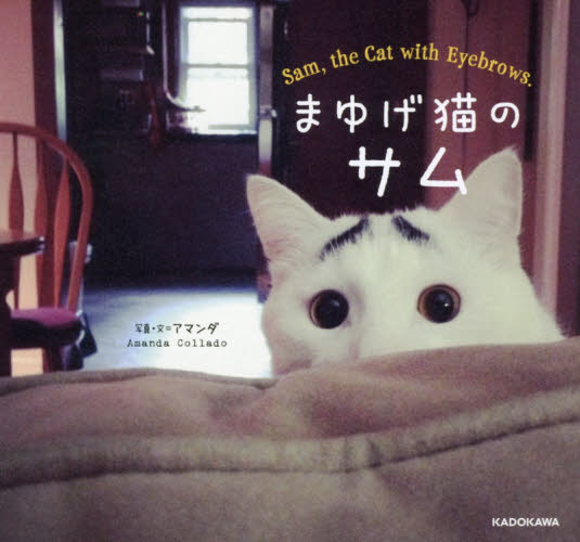 まゆげ猫のサム アマンダ／写真・文 ペット写真集の商品画像