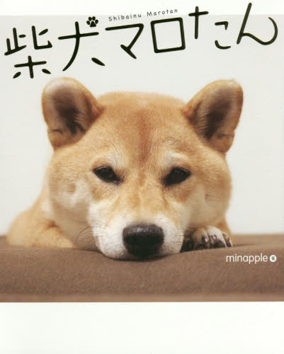 柴犬マロたん ｍｉｎａｐｐｌｅ／著 ペット写真集の商品画像