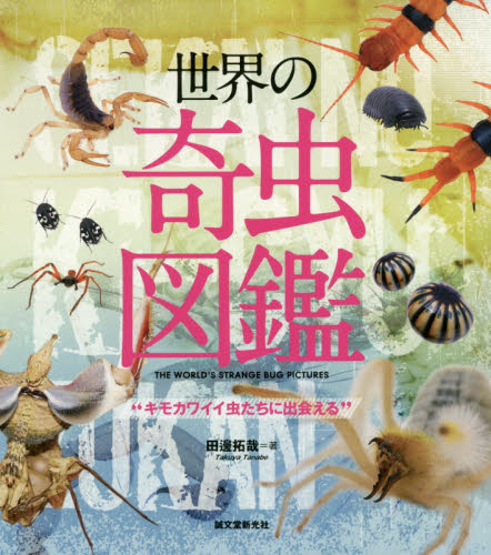 世界の奇虫図鑑　キモカワイイ虫たちに出会える （キモカワイイ虫たちに出会える） 田邊拓哉／著 生物学の本その他の商品画像