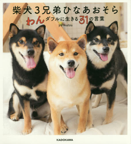 柴犬3兄弟ひなあおそら わんダフルに生きる31の言葉 yu matsu/著 ペット写真集の商品画像