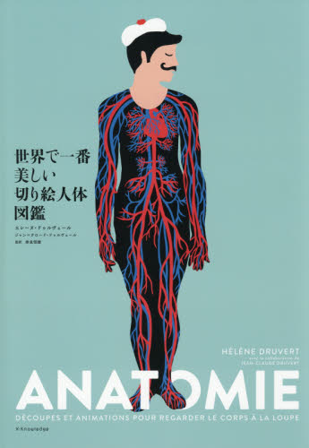 世界で一番美しい切り絵人体図鑑 エレーヌ・ドゥルヴェール/著 奈良信雄/監訳 小川浩一/訳 絵画、作品集の本その他の商品画像