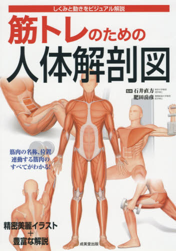 筋トレのための人体解剖図 しくみと動きをビジュアル解説 石井直方/監修 肥田岳彦/監修 家庭医学の本その他の商品画像