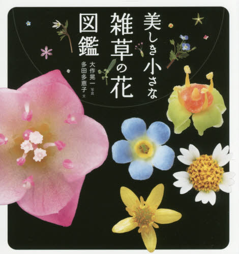 美しき小さな雑草の花図鑑 多田多恵子／文　大作晃一／写真 フィールド図鑑の商品画像