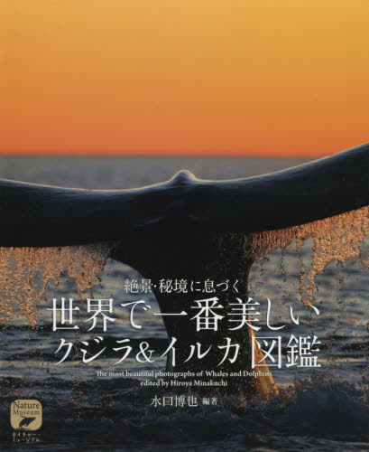 絶景・秘境に息づく世界で一番美しいクジラ＆イルカ図鑑 （ネイチャー・ミュージアム） 水口博也／編著 フィールド図鑑の商品画像