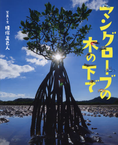 マングローブの木の下で (ぴっかぴかえほん) 横塚眞己人/写真と文 日本の絵本の商品画像