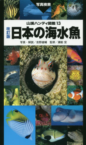 日本の海水魚 写真検索 (山溪ハンディ図鑑 13) (改訂版) 吉野雄輔/写真・解説 瀬能宏/監修 フィールド図鑑の商品画像