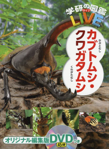カブトムシ・クワガタムシ (学研の図鑑LIVE 18) 岡島秀治/総監修