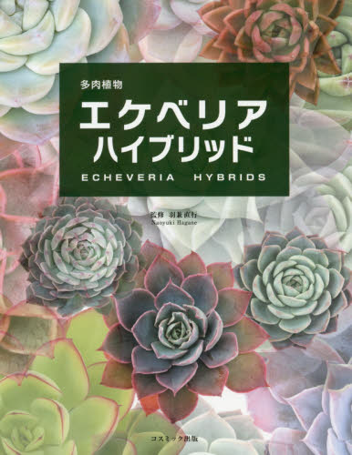 多肉植物エケベリアハイブリッド 羽兼直行/監修 観葉植物の本の商品画像