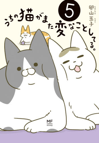 うちの猫がまた変なことしてる。 5 (メディアファクトリーのコミックエッセイ) 卵山玉子/著 教養新書の本その他の商品画像