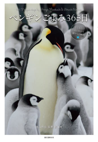 ペンギンごよみ３６５日　愛くるしい姿に出会う癒やしの瞬間 水口博也／編著　長野敦／編著 ネーチャー写真集の商品画像