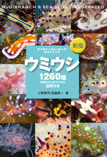 ウミウシ 特徴がひと目でわかる図解付き 1260種 (ネイチャーウォッチングガイドブック) (新版) 小野篤司/著 加藤昌一/著 フィールド図鑑の商品画像