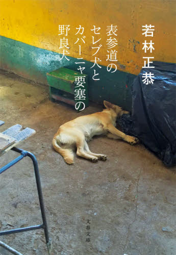 表参道のセレブ犬とカバーニャ要塞の野良犬 （文春文庫　わ２５－１） 若林正恭／著 文春文庫の本の商品画像