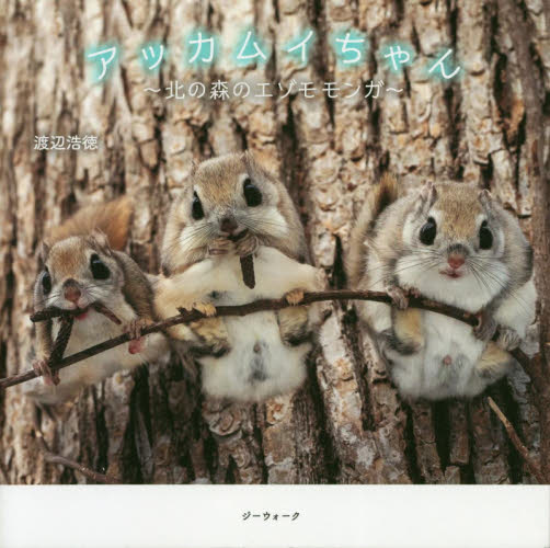 アッカムイちゃん 北の森のエゾモモンガ 渡辺浩徳/著 ペット写真集の商品画像