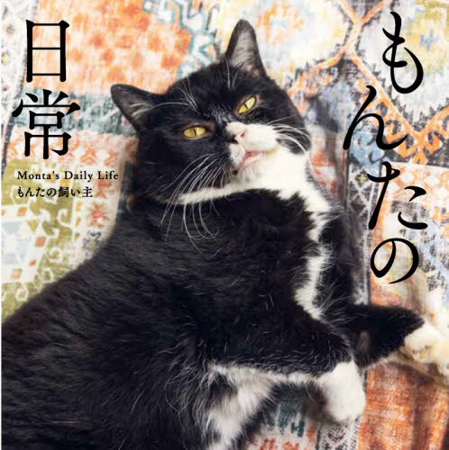 もんたの日常 もんたの飼い主/著 ペット写真集の商品画像