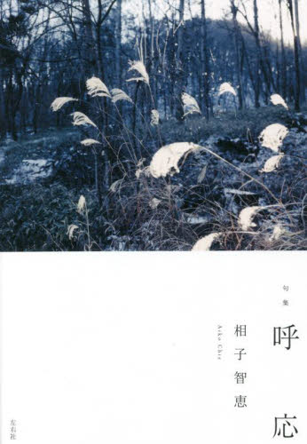 呼応 句集 (澤俳句叢書 第31篇) 相子智恵/著 俳句集の商品画像