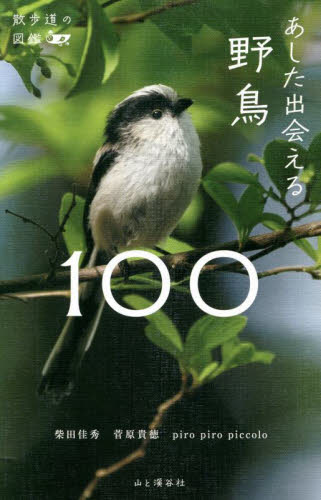 あした出会える野鳥100 (散歩道の図鑑) 柴田佳秀/文 菅原貴徳/写真 piro piro piccolo/イラスト フィールド図鑑の商品画像