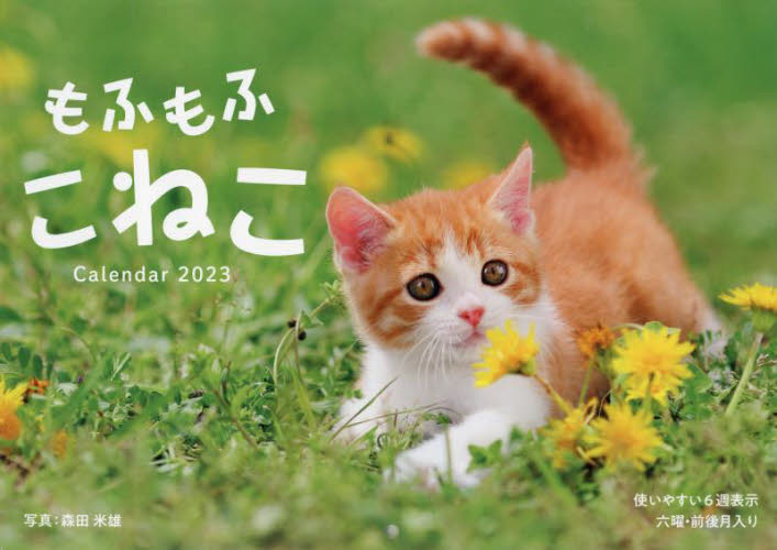 カレンダー　’２３　もふもふこねこ 森田米雄　写真 カレンダーの商品画像