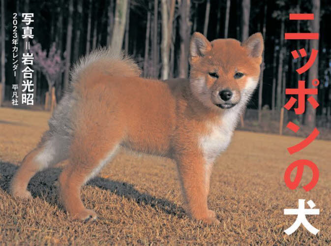 カレンダー　’２３　ニッポンの犬 岩合光昭　写真
