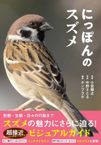 にっぽんのスズメ 小宮輝之／監修　中野さとる／写真　ポンプラボ／編集 フィールド図鑑の商品画像