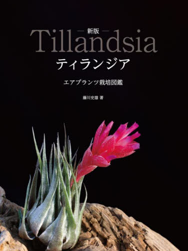 ティランジア エアプランツ栽培図鑑 (新版) 藤川史雄/著 大美賀隆/著 観葉植物の本の商品画像