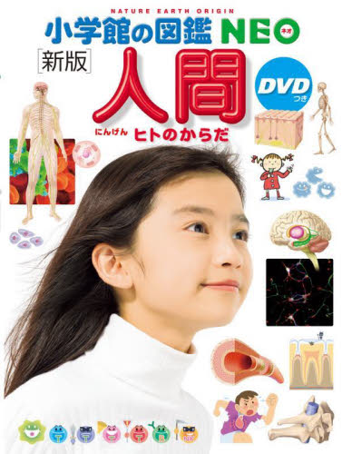 人間 ヒトのからだ (小学館の図鑑NEO 13) (新版) 松村讓兒/〔ほか〕指導・執筆 今崎和広/ほか画 月本佳代美/ほか画 学習図鑑その他の商品画像