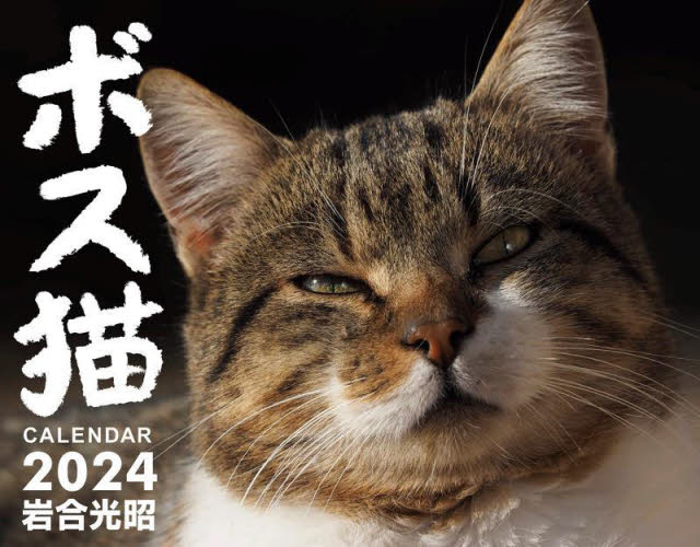 ’２４　ボス猫カレンダー 岩合光昭 カレンダーの商品画像