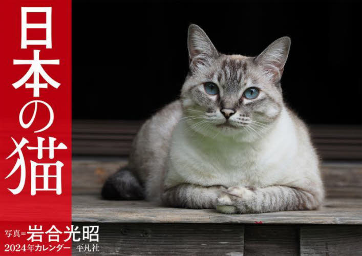 カレンダー　’２４　日本の猫 岩合光昭 カレンダーの商品画像