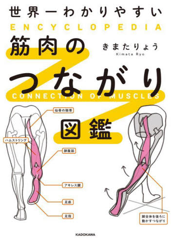 世界一わかりやすい筋肉のつながり図鑑 きまたりょう／著 トレーニングの本その他の商品画像