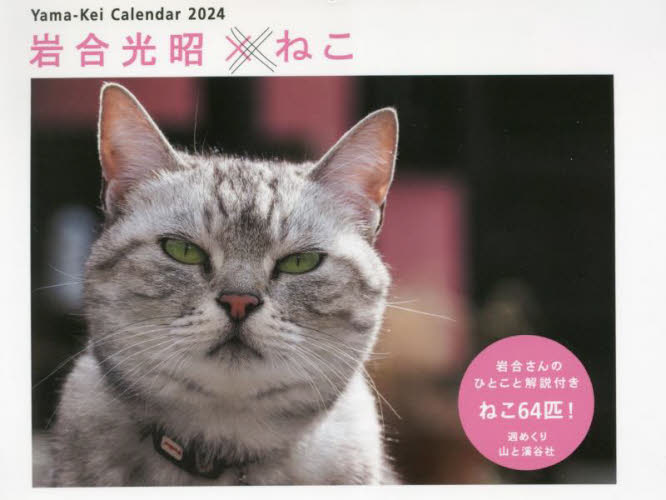 カレンダー　’２４　岩合光昭×ねこ 岩合光昭 カレンダーの商品画像