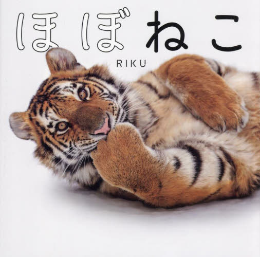 ほぼねこ ネコ科の猛獣たちのネコみたいな写真集 RIKU/著 ペット写真集の商品画像