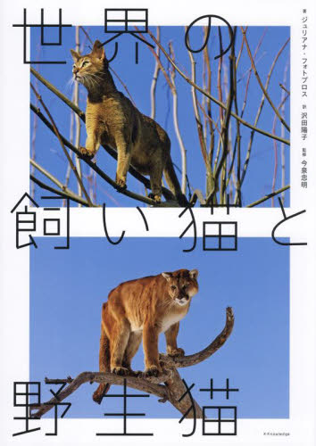 世界の飼い猫と野生猫 ジュリアナ・フォトプロス/著 沢田陽子/訳 今泉忠明/監修 ペット写真集の商品画像