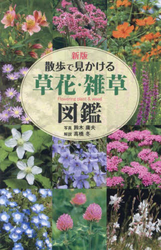 散歩で見かける草花・雑草図鑑 (新版) 鈴木庸夫/写真 高橋冬/解説 フィールド図鑑の商品画像