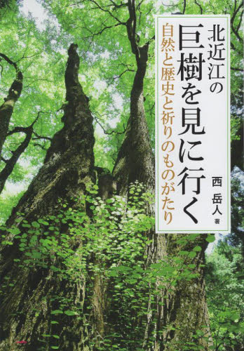 北近江の巨樹を見に行く　自然と歴史と祈りのものがたり 西岳人／著 目的別ガイドブックの商品画像