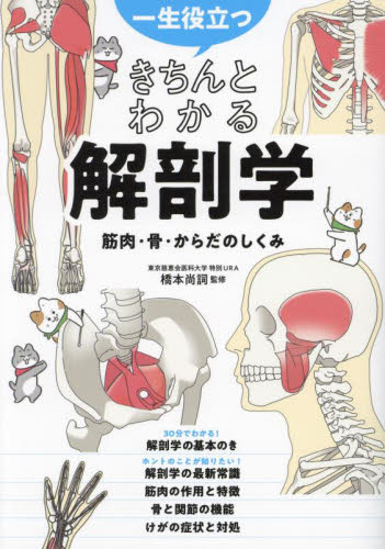 一生役立つきちんとわかる解剖学 筋肉・骨・からだのしくみ 橋本尚詞/監修 スポーツの本その他の商品画像