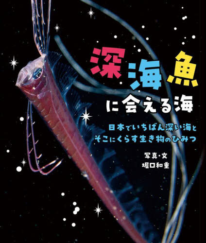 深海魚に会える海　日本でいちばん深い海とそこにくらす生き物のひみつ 堀口和重／写真・文 3、4歳児用絵本その他の商品画像