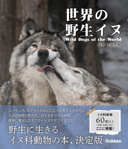世界の野生イヌ 今泉忠明／監修 ネーチャー写真集の商品画像