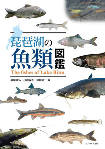 琵琶湖の魚類図鑑 藤岡康弘／編　川瀬成吾／編　田畑諒一／編 生物学の本その他の商品画像