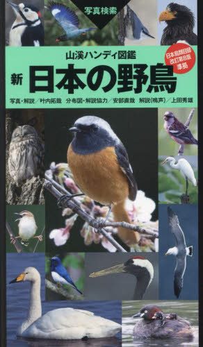 新日本の野鳥 写真検索 (山溪ハンディ図鑑) 叶内拓哉/写真・解説 安部直哉/分布図・解説協力 上田秀雄/解説(鳴声) フィールド図鑑の商品画像