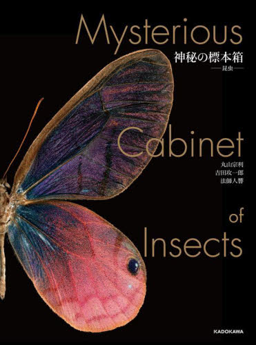 神秘の標本箱-昆虫- 丸山宗利/著 吉田攻一郎/著 法師人響/著 動物学一般の本の商品画像