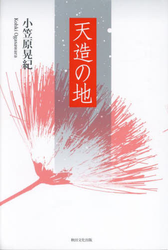 天造の地 小笠原晃紀/著 歴史、時代小説その他の商品画像