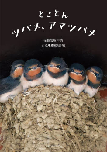 とことんツバメ、アマツバメ 佐藤信敏/写真 BIRDER編集部/編 フィールド図鑑の商品画像