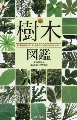 樹木図鑑　葉・幹・樹形・花・実・冬芽がわかるから判別しやすい 小池安比古／監修　日本文芸社／編 フィールド図鑑の商品画像