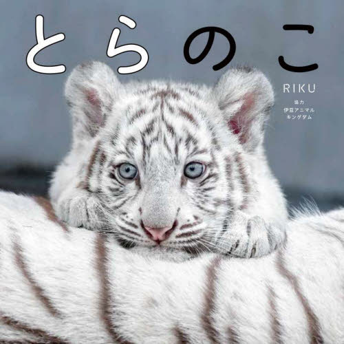とらのこ 「ほぼねこ」なホワイトタイガーの赤ちゃん写真集 RIKU/著 ペット写真集の商品画像