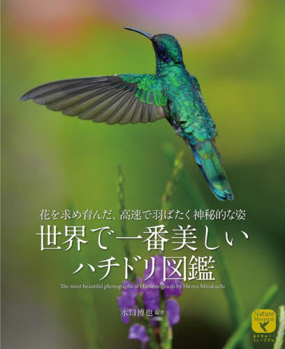 世界で一番美しいハチドリ図鑑　花を求め育んだ、高速で羽ばたく神秘的な姿 （ネイチャー・ミュージアム） 水口博也／編著 フィールド図鑑の商品画像