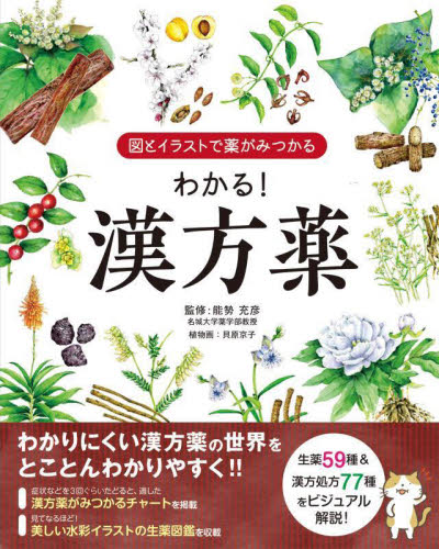 わかる!漢方薬 図とイラストで薬がみつかる 能勢充彦/監修 ユーキャン漢方処方薬研究会/編著 くすり、検査の本の商品画像