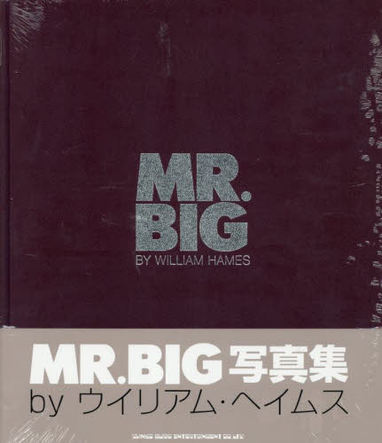 MR.BIG写真集 豪華愛蔵版 WILLIAM HA アート写真集その他の商品画像