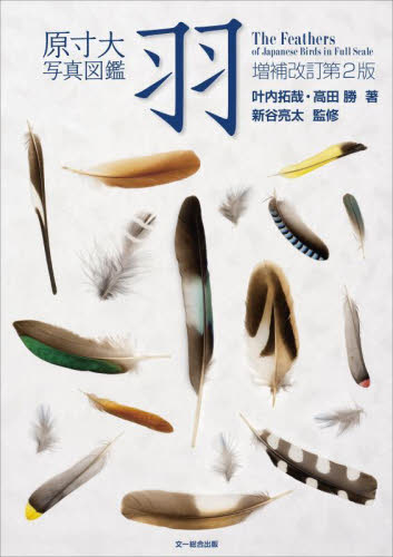 羽 原寸大写真図鑑 (増補改訂第2版) 叶内拓哉/著 高田勝/著 新谷亮太/監修 動物学一般の本の商品画像